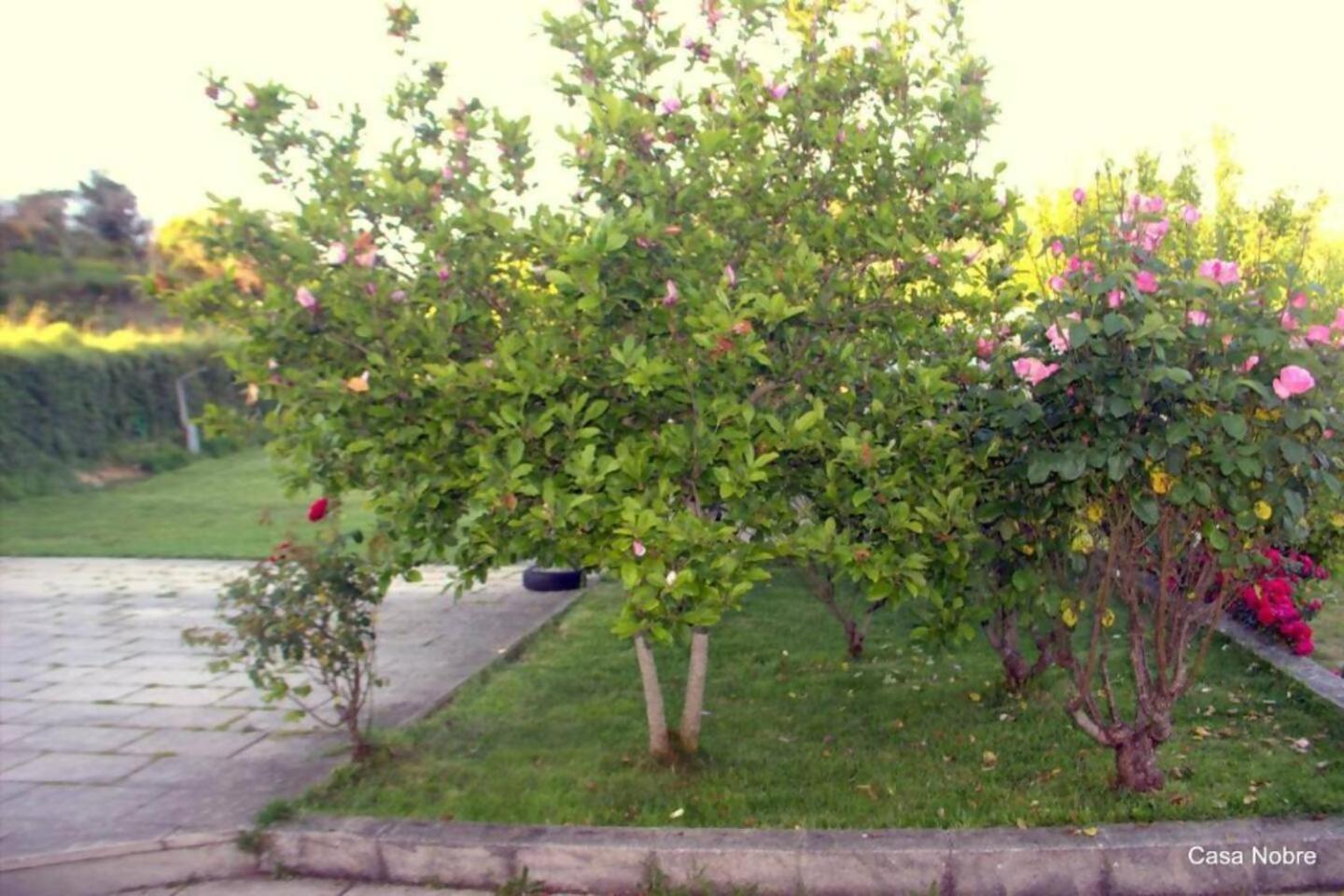 Retiro Na Natureza Casa Com Piscina Digueifel Exterior photo